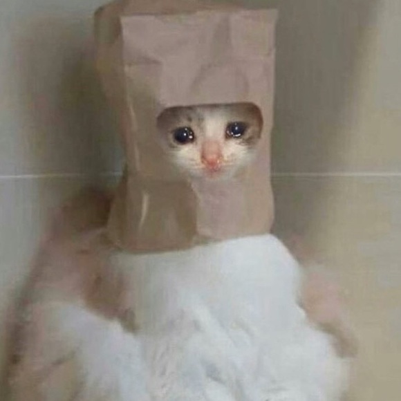 Meet your Posher, Vicente - Picture 1 of 1